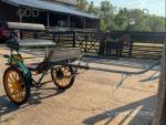 Talbot Brothers Exercise Cart