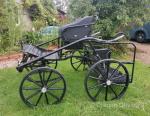 Fenix Competition Carriage