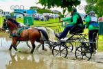 Hartland Micrasport 