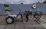 Exercise Cart