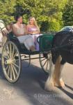 Butchers Cart