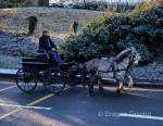Pleasure Vehicle 