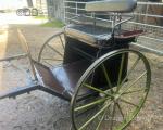 Bellcrown Exercise Cart 
