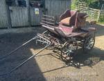 Hartland Pleasure Carriage