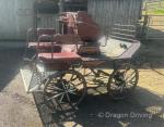 Hartland Pleasure Carriage