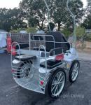 Pleasure Vehicle 