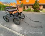 Rombach of Aachen Carriage