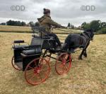 Bellcrown Carriage