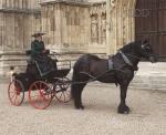 Bellcrown Carriage