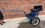 Exercise Carts
