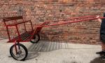 Exercise Carts