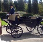 Landau Carriage