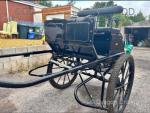 Pleasure Vehicle