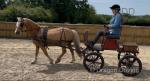 Bennington Buckboard