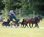 Hartland Pony Pair Carriage