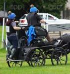 Hartland Pony Pair Carriage