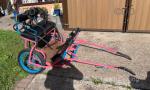 Exercise Cart with Harness