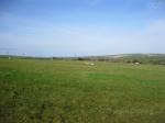 5 Bed House with 10 Acres, Cornwall