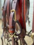 Harness