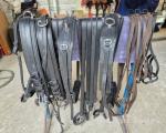 Team Harness