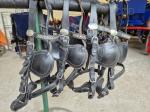 Team Harness