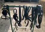 Harness