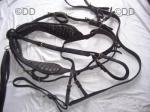 Harness