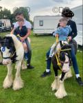 Tyson, 11hh Ride and Drive Gelding 