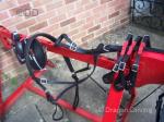 Harness