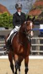 One space for schooling or competition livery