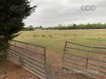 Land, Warwickshire