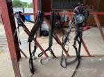 Harness