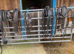 Van Der Wiel Pairs Harness