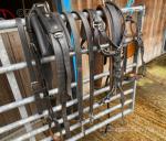Van Der Wiel Pairs Harness