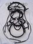Zilco Pairs Harness