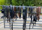 Tandem Harness