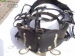 Top Mark Harness