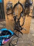 Pairs Harness