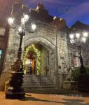 Cast Iron Avenue Lamps 