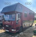 Ford Iveco Horsebox