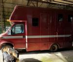2001 Iveco Daily Horsebox