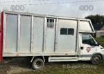 53 Reg Iveco Horse Box
