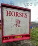 53 Reg Iveco Horse Box