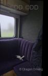 1998 MAN Horsebox
