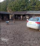 One & a Half Acre Equestrian Yard