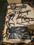 Bridles, Head Collars & Travelling Boots