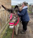 Phoebe and Doris, Riding Jenny Donkeys 