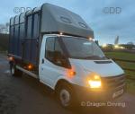 2011 Ford Transit Horsebox