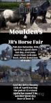 JR's and Moldens Horse Fair