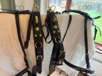 Pairs Harness